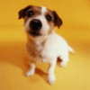 jcmjrt's Avatar