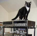 soundweasel's Avatar