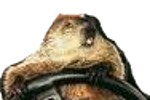 RichPA's Avatar