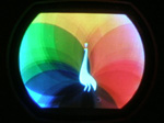 Pete Deksnis's Avatar