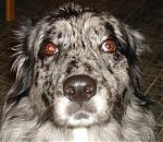 Cosmic Charlie's Avatar