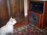 ALTEC9846-8A's Avatar