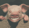 yamahammer's Avatar