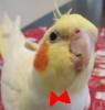 DavidGoncalv's Avatar