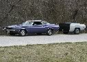 purple1's Avatar